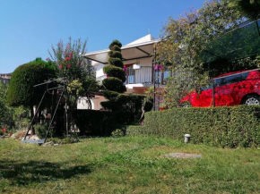 Kiwi House Šušanj